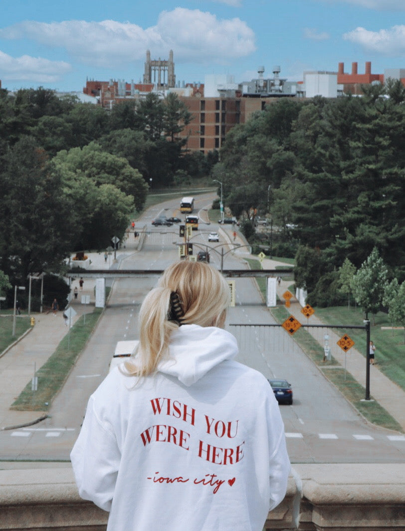 Hawk Hoodie: WYWH ic